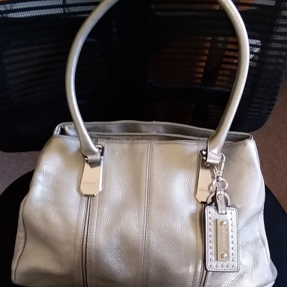 Lovely Silver, Leather Tignanello Handbag